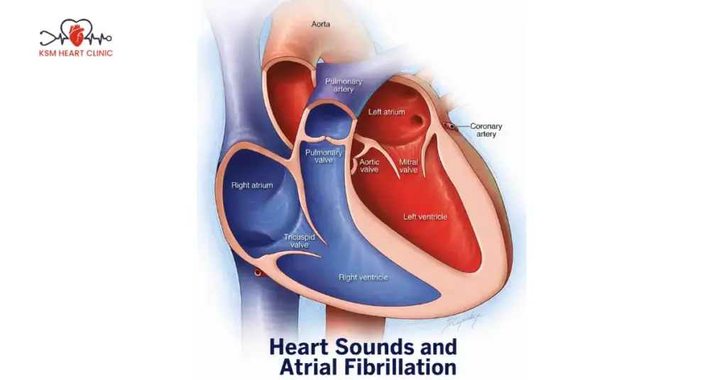 Heart Sounds and Atrial Fibrillation